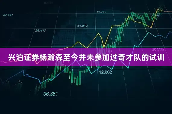 兴泊证券杨瀚森至今并未参加过奇才队的试训