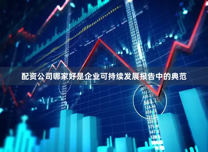 配资公司哪家好是企业可持续发展报告中的典范