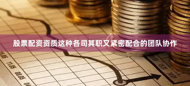 股票配资资质这种各司其职又紧密配合的团队协作