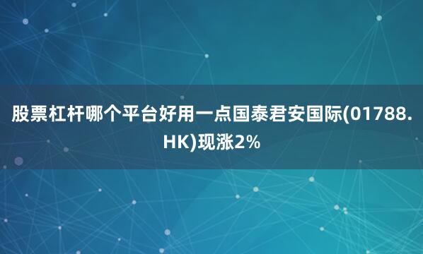 股票杠杆哪个平台好用一点国泰君安国际(01788.HK)现涨2%