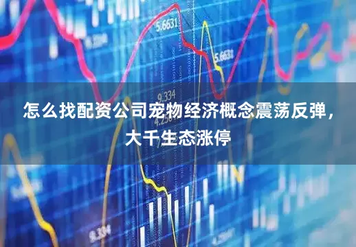 怎么找配资公司宠物经济概念震荡反弹，大千生态涨停