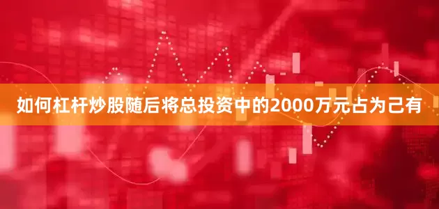 如何杠杆炒股随后将总投资中的2000万元占为己有