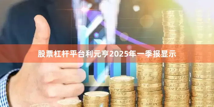 股票杠杆平台利元亨2025年一季报显示
