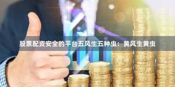 股票配资安全的平台五风生五种虫：黄风生黄虫