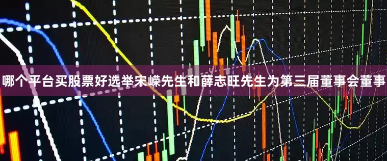 哪个平台买股票好选举宋嵘先生和薛志旺先生为第三届董事会董事