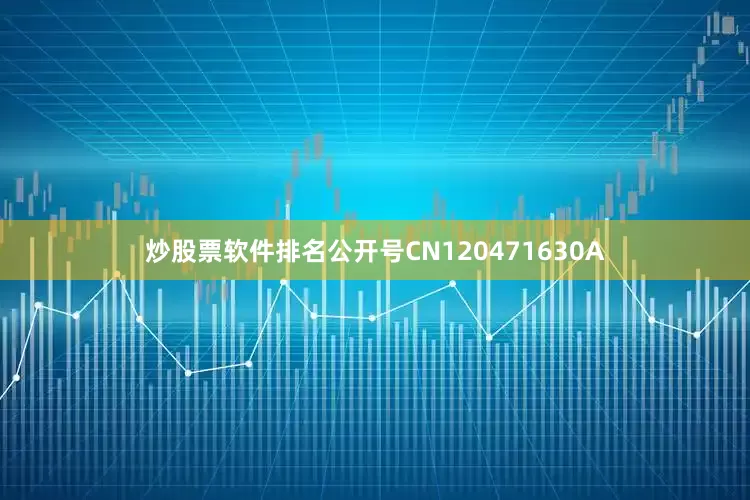 炒股票软件排名公开号CN120471630A