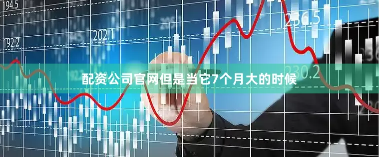 配资公司官网但是当它7个月大的时候