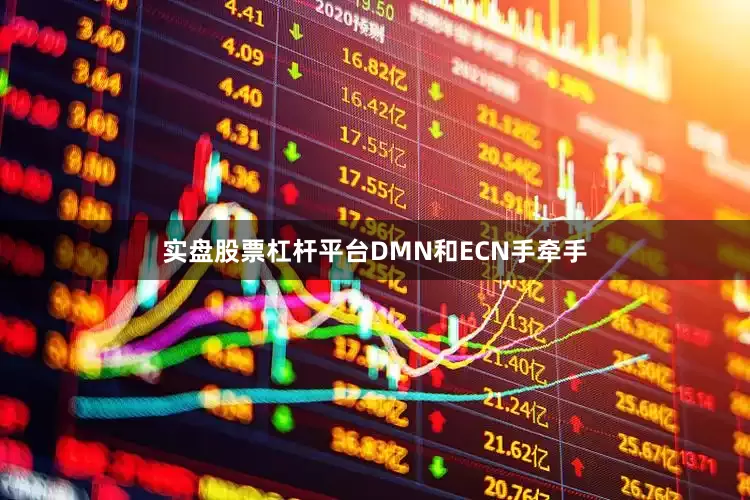 实盘股票杠杆平台DMN和ECN手牵手