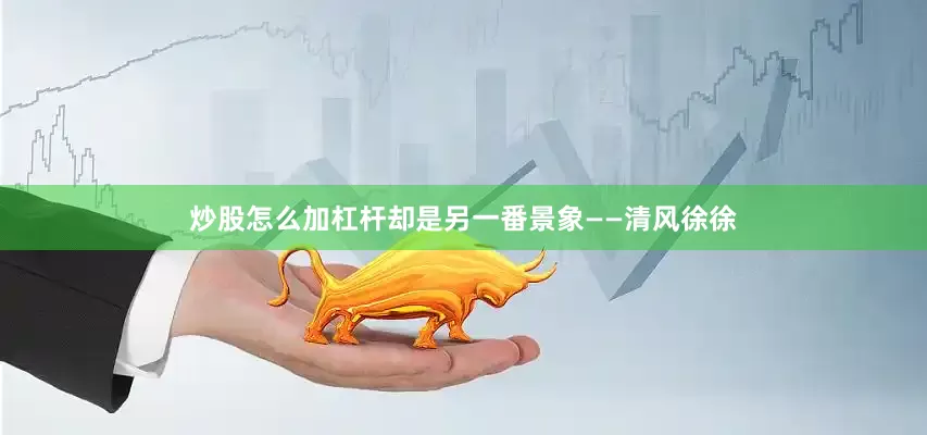炒股怎么加杠杆却是另一番景象——清风徐徐