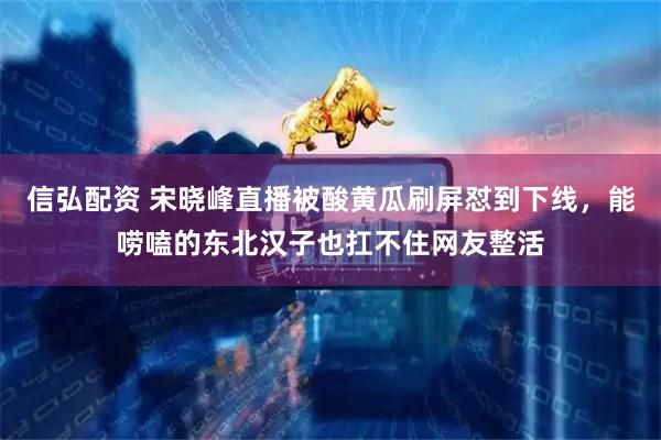 信弘配资 宋晓峰直播被酸黄瓜刷屏怼到下线，能唠嗑的东北汉子也扛不住网友整活